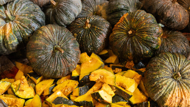 NewElephantHome.co.th สัมผัสประสบการณ์การอยู่ร่วมกับช้างตลอดทั้งวัน (106)