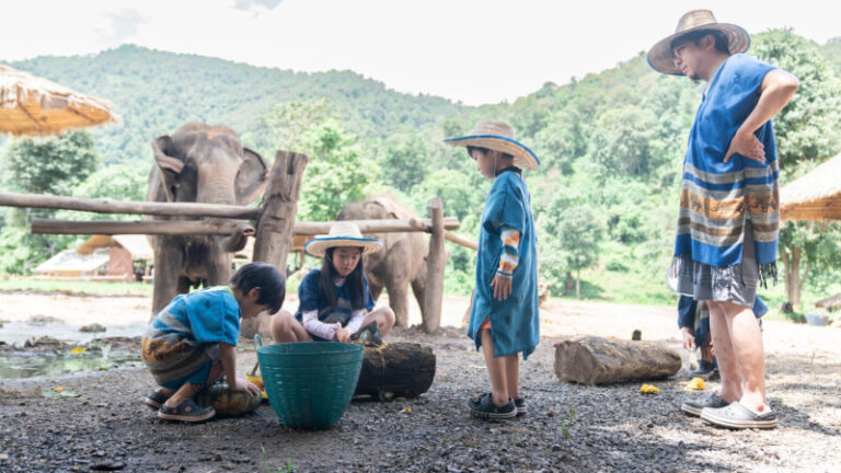HomeNewElephantHome.co.th : you will feed, hike, and learn about elephants in Thailand. 21 NewElephantHome.co .th สัมผัสประสบการณ์การอยู่ร่วมกับช้างตลอดทั้งวัน 109