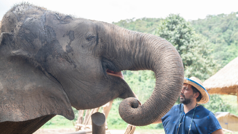 NewElephantHome.co.th สัมผัสประสบการณ์การอยู่ร่วมกับช้างตลอดทั้งวัน (138)