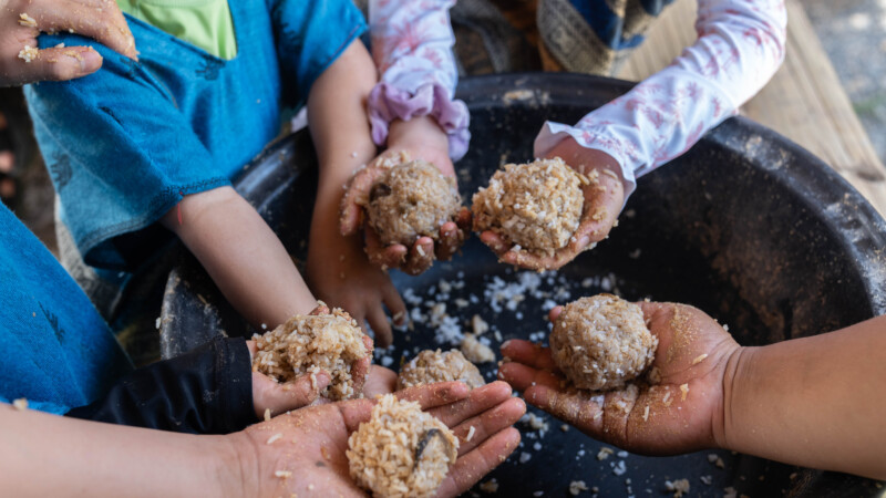 NewElephantHome.co.th สัมผัสประสบการณ์การอยู่ร่วมกับช้างตลอดทั้งวัน (140)