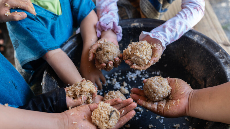 NewElephantHome.co.th สัมผัสประสบการณ์การอยู่ร่วมกับช้างตลอดทั้งวัน (141)