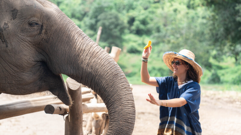 NewElephantHome.co.th สัมผัสประสบการณ์การอยู่ร่วมกับช้างตลอดทั้งวัน (148)