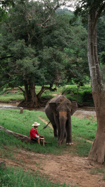 NewElephantHome.co.th สัมผัสประสบการณ์การอยู่ร่วมกับช้างตลอดทั้งวัน (195)