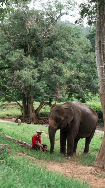 NewElephantHome.co.th สัมผัสประสบการณ์การอยู่ร่วมกับช้างตลอดทั้งวัน (196)