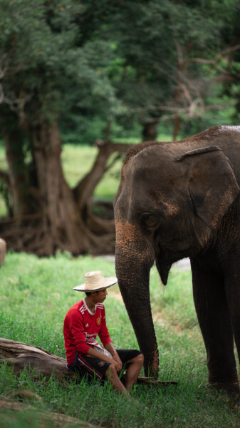 NewElephantHome.co.th สัมผัสประสบการณ์การอยู่ร่วมกับช้างตลอดทั้งวัน (197)