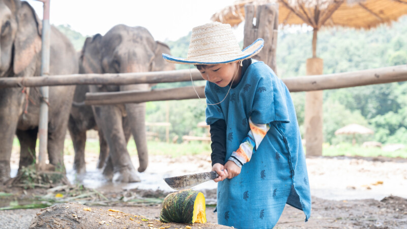 NewElephantHome.co.th สัมผัสประสบการณ์การอยู่ร่วมกับช้างตลอดทั้งวัน (36)