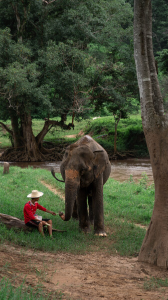 NewElephantHome.co.th สัมผัสประสบการณ์การอยู่ร่วมกับช้างตลอดทั้งวัน (376)