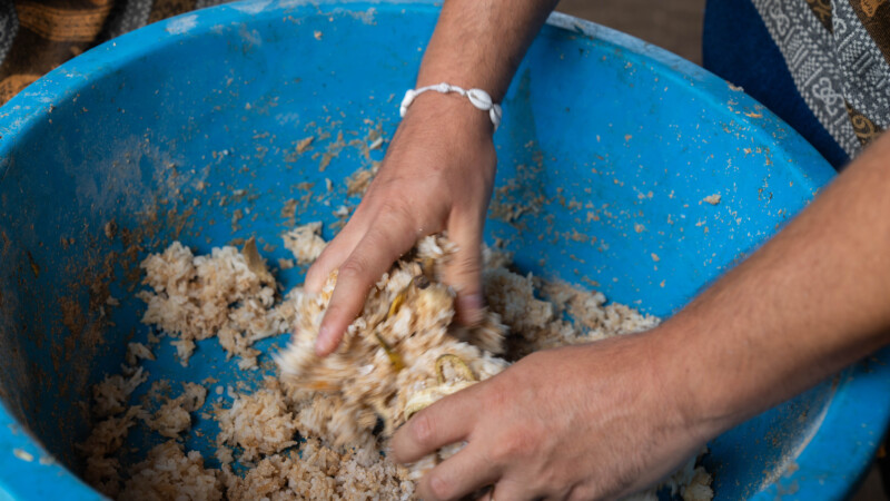 NewElephantHome.co.th สัมผัสประสบการณ์การอยู่ร่วมกับช้างตลอดทั้งวัน (6)