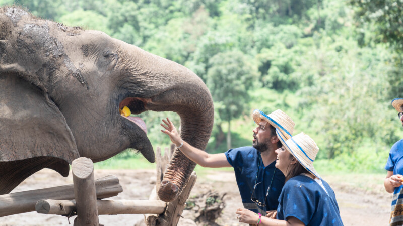 NewElephantHome.co.th สัมผัสประสบการณ์การอยู่ร่วมกับช้างตลอดทั้งวัน (63)