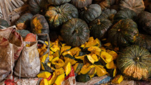 HomeNewElephantHome.co.th : you will feed, hike, and learn about elephants in Thailand. 23 NewElephantHome.co .th สัมผัสประสบการณ์การอยู่ร่วมกับช้างตลอดทั้งวัน 65