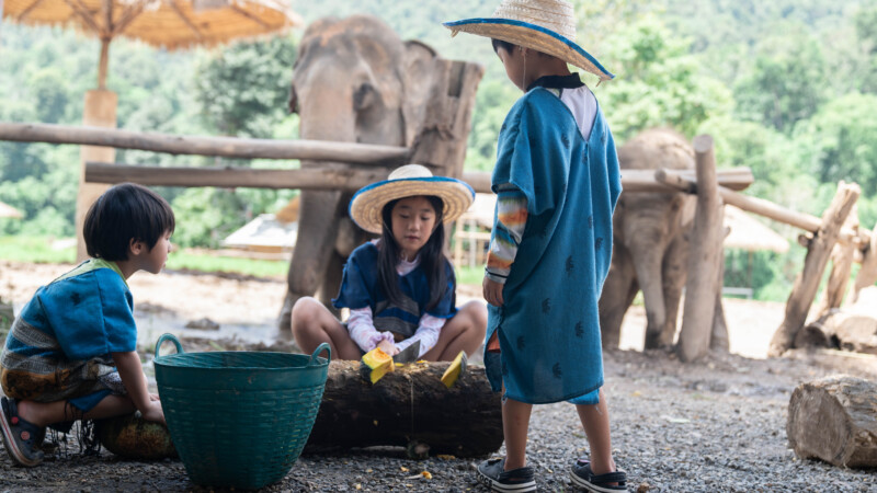 NewElephantHome.co.th สัมผัสประสบการณ์การอยู่ร่วมกับช้างตลอดทั้งวัน (67)