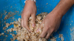 HomeNewElephantHome.co.th : you will feed, hike, and learn about elephants in Thailand. 34 NewElephantHome.co .th สัมผัสประสบการณ์การอยู่ร่วมกับช้างตลอดทั้งวัน 69