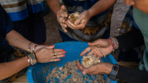 HomeNewElephantHome.co.th : you will feed, hike, and learn about elephants in Thailand. 33 NewElephantHome.co .th สัมผัสประสบการณ์การอยู่ร่วมกับช้างตลอดทั้งวัน 70