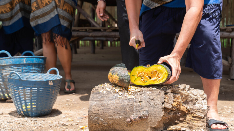 NewElephantHome.co.th สัมผัสประสบการณ์การอยู่ร่วมกับช้างตลอดทั้งวัน (76)