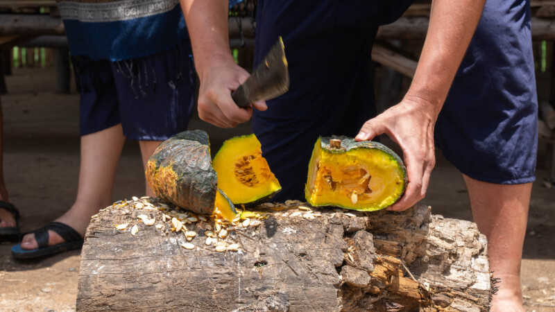 NewElephantHome.co.th สัมผัสประสบการณ์การอยู่ร่วมกับช้างตลอดทั้งวัน (77)