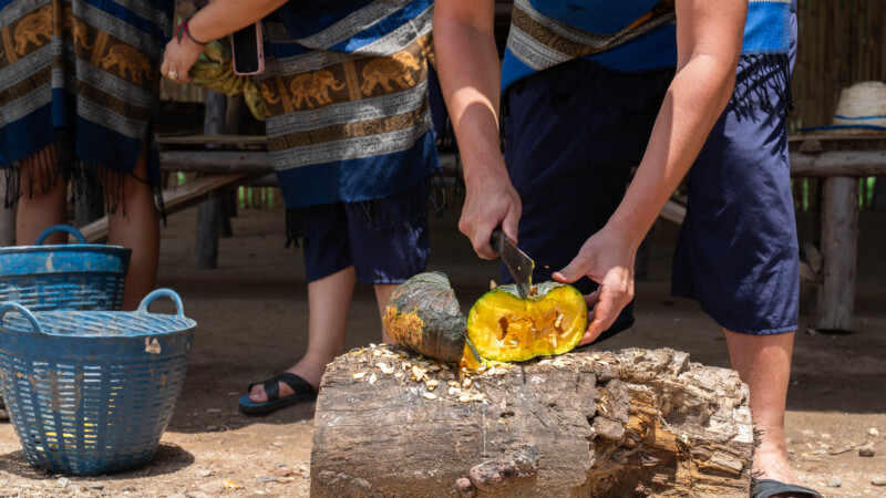 NewElephantHome.co.th สัมผัสประสบการณ์การอยู่ร่วมกับช้างตลอดทั้งวัน (78)