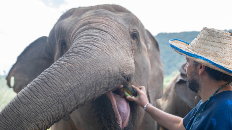 NewElephantHome.co.th สัมผัสประสบการณ์การอยู่ร่วมกับช้างตลอดทั้งวัน (91)