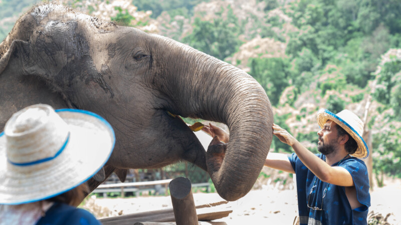 NewElephantHome.co.th สัมผัสประสบการณ์การอยู่ร่วมกับช้างตลอดทั้งวัน (99)