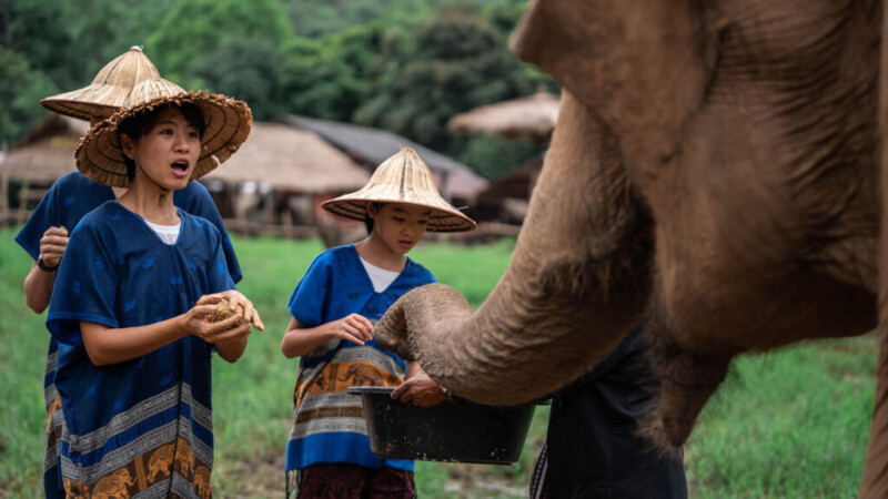 u2 2Hours program small 1024x576 1