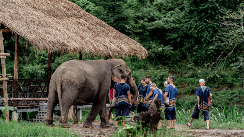 u2 half day afternoon small1